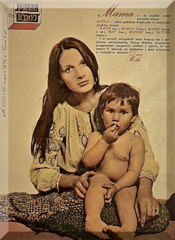 Kora w przekroju 1974.jpg