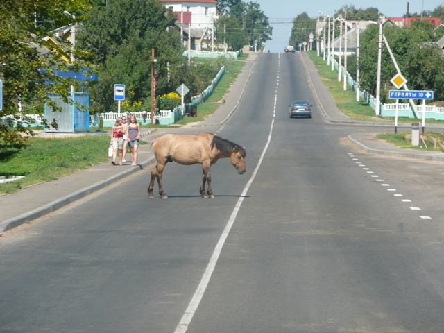 BIAŁORUŚ 212.jpg